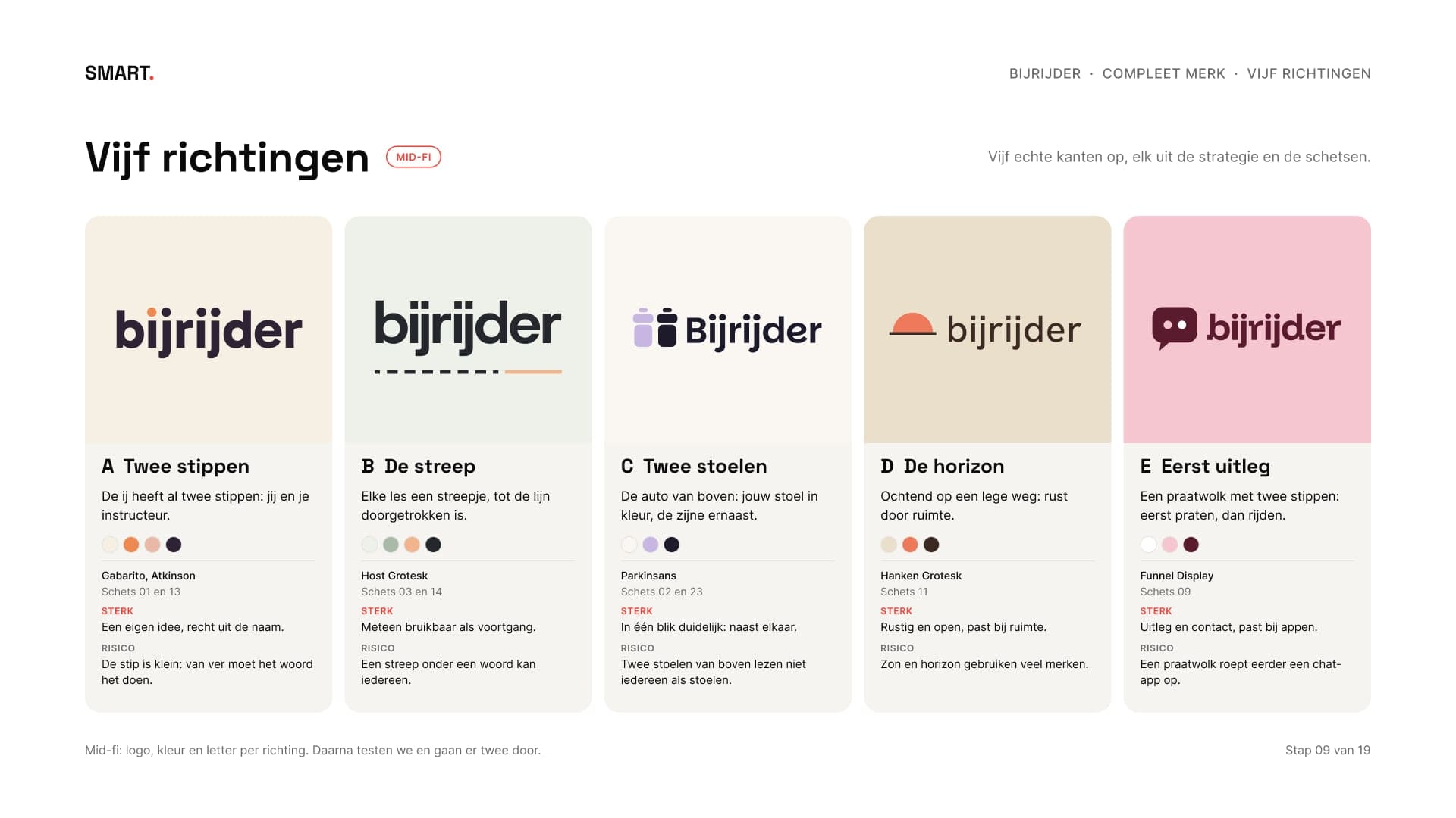 Vijf richtingen naast elkaar, A tot E, elk met logo, letter, sterk punt en risico